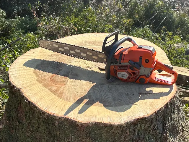 倒せない木も対応。難所・特殊伐採も安心して任せられる職人です。サービスの画像