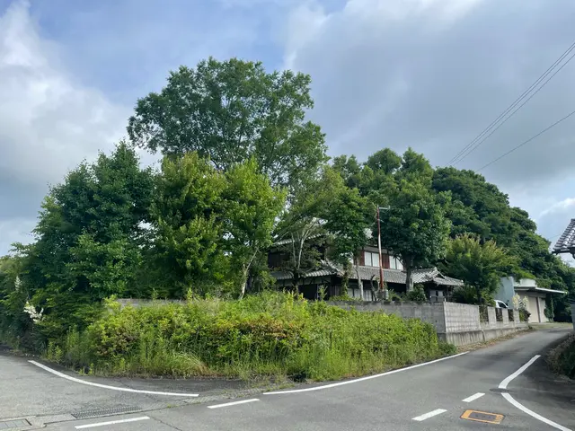 倒せない木も対応。難所・特殊伐採も安心して任せられる職人です。サービスの画像