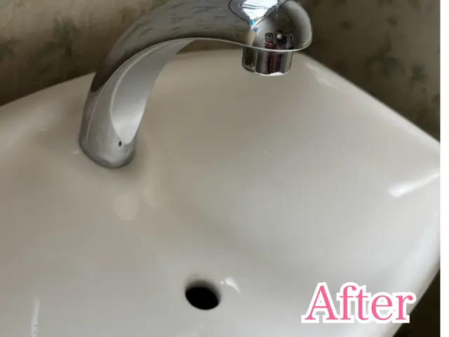 トイレクリーニングサービスの画像