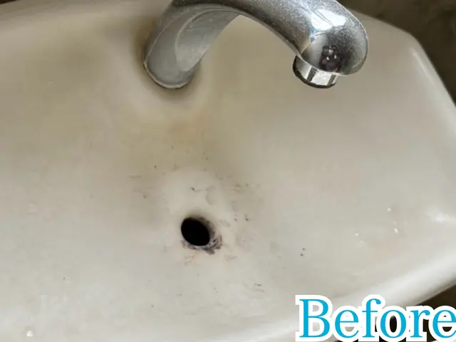 トイレクリーニングサービスの画像