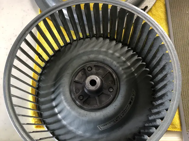 水回りクリーニング2点セット（換気扇＋キッチン）サービスの画像