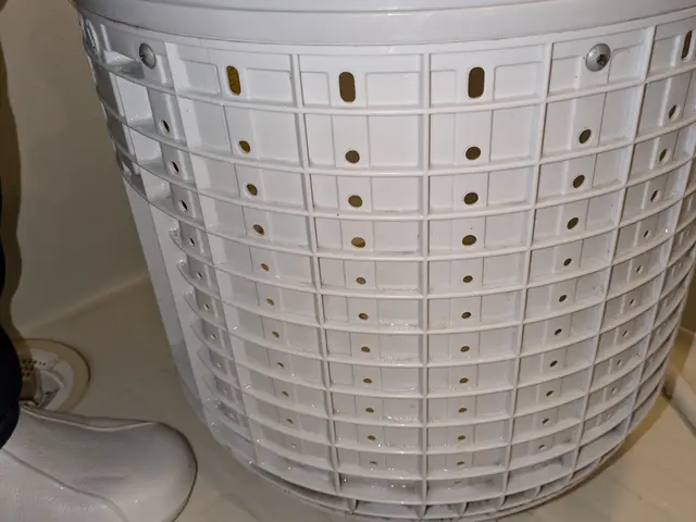 洗濯槽の黒カビ退治！！洗濯物も洗濯機もキレイに！！《損害保険加入◎》サービスの画像