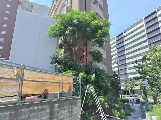 ◆◇10月新規出店◇◆経験16年の職人がお客様のご希望に寄り添う◎サービスの画像