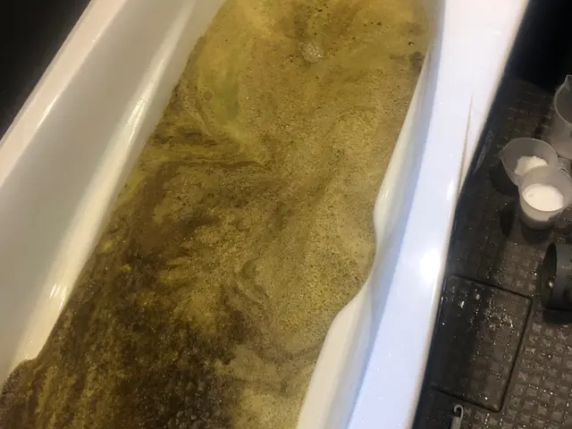 市販の洗剤で落とせない汚れを掻き出して気持ちの良いお風呂でサッパリしましょうサービスの画像