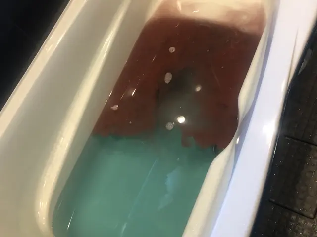 市販の洗剤で落とせない汚れを掻き出して気持ちの良いお風呂でサッパリしましょうサービスの画像