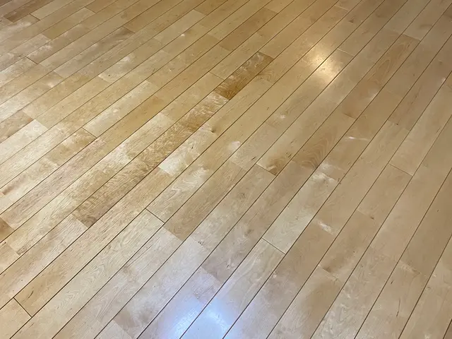 ペットOK！ワックス剥離込み☆椿家の秋仕上げ★夏場に汚れた床を涼しい今のうちに！サービスの画像