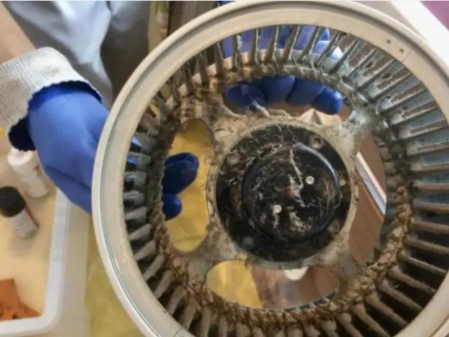 【業歴15年の経験と実績】女性スタッフ同行可能◎サービスの画像