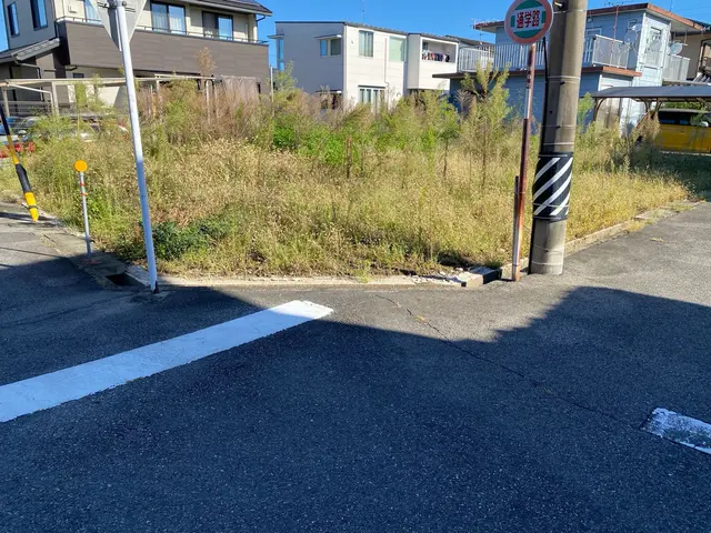 2月ご依頼募集中！雑草が無くなり気分スッキリ！草刈機で広い範囲も手早く出来ます。サービスの画像