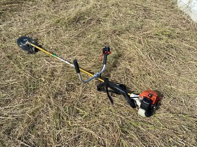 雑草が無くなり気分スッキリ！草刈機で広い範囲も手早く出来ます。サービスの画像