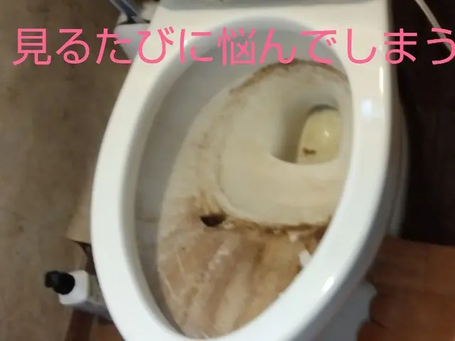 他社より半額で高クオリティ！子供好きなパパが訪問します！サービスの画像