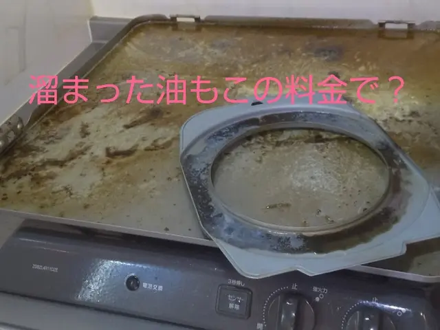 他社より半額で高クオリティ！子供好きなパパが訪問します！サービスの画像