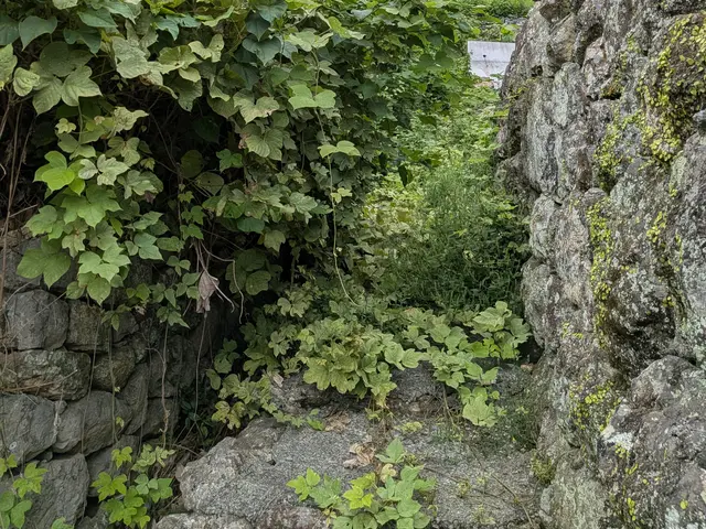 プロの技術でご満足いただけるように心を込めて作業いたしますサービスの画像