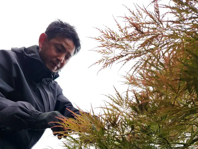 17年の実績！富士河口湖町地元密着で安心・丁寧な庭木のお手入れならお任せサービスの画像