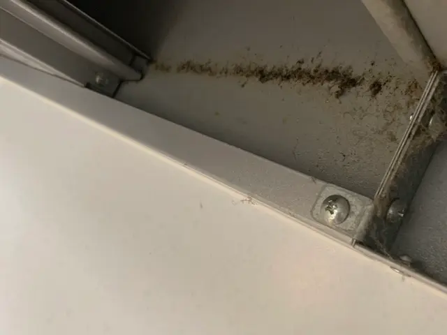 【アワード受賞店☆】☆プロの技術でピカピカにします☆【千葉】サービスの画像