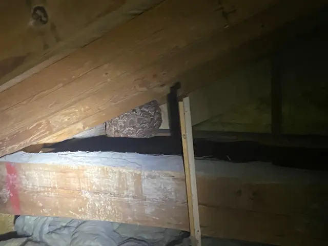 《あなたの暮らしの御用聞き》危険な蜂の巣駆除、お任せください！技術で徹底駆除！サービスの画像