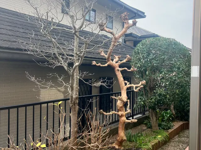 【業界歴25年の経験実績】全て自社対応◎一級造園技能士が在籍しています！サービスの画像