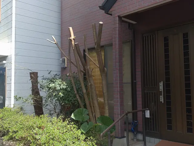 ◆職人歴33年の実績◆1級造園施工管理技士◆1級エクステリアプランナーサービスの画像