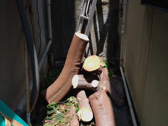 ◆職人歴33年の実績◆1級造園施工管理技士◆1級エクステリアプランナーサービスの画像