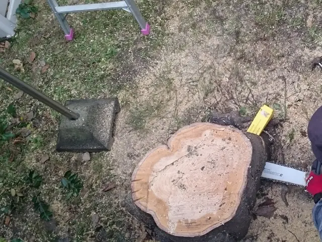 ◆職人歴33年の実績◆1級造園施工管理技士◆1級エクステリアプランナーサービスの画像