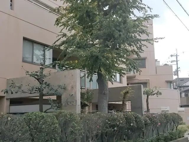 ◆職人歴33年の実績◆1級造園施工管理技士◆1級エクステリアプランナーサービスの画像