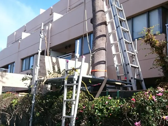 ◆職人歴33年の実績◆1級造園施工管理技士◆1級エクステリアプランナーサービスの画像