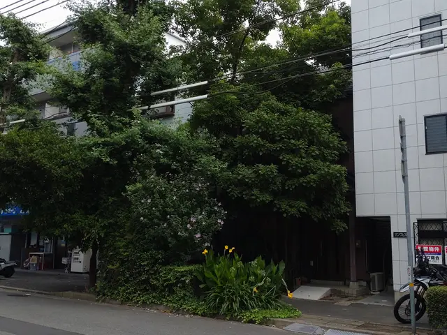 ◆職人歴33年の実績◆1級造園施工管理技士◆1級エクステリアプランナーサービスの画像