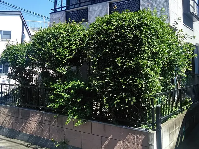 《平日・土ご予約歓迎！》経験豊富な職人が揃ってます！何でも当店へお任せください！サービスの画像