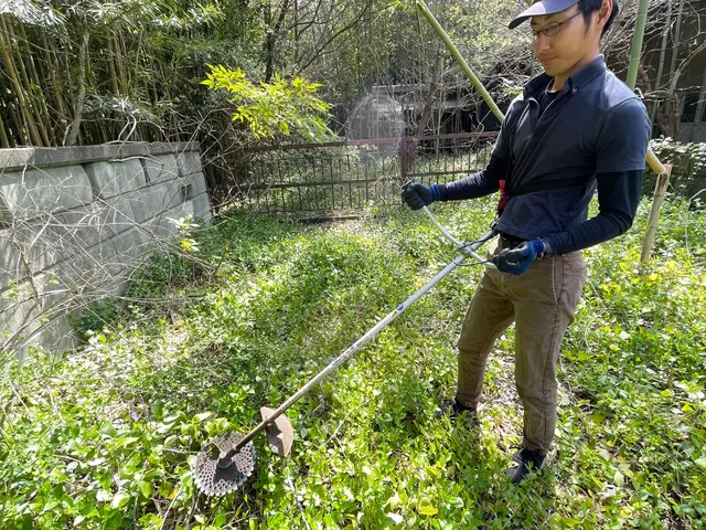 伸びた草を刈り取ります！サービスの画像