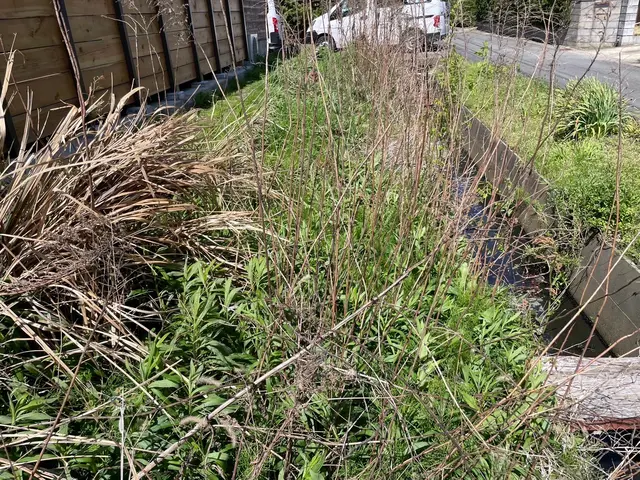 伸びた草を刈り取ります！サービスの画像