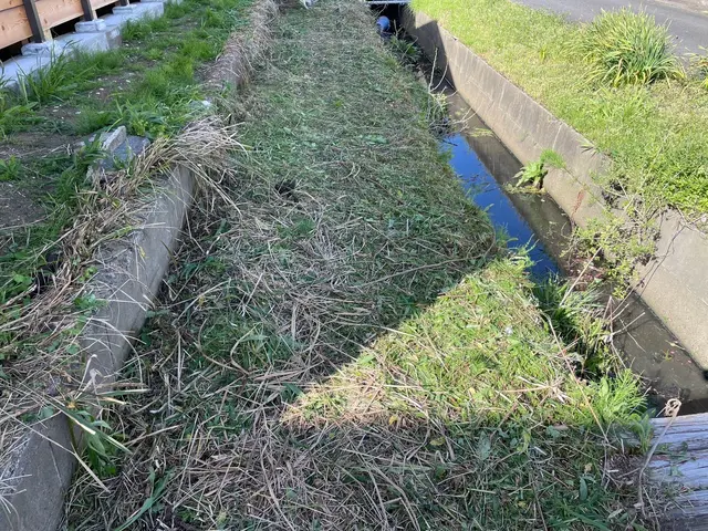 伸びた草を刈り取ります！サービスの画像