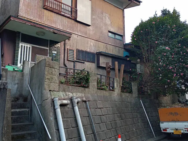 写真でのお見積り可能です！作業代はゴミ処分代込みです！伐採と抜根は別料金ご注意をサービスの画像