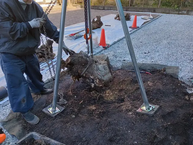 ご要望をお聞かせ下さい！立木の抜根作業は伐採・抜根作業料金が掛かります！ご注意をサービスの画像