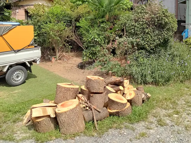 ご要望をお聞かせ下さい！立木の抜根作業は伐採・抜根作業料金が掛かります！ご注意をサービスの画像
