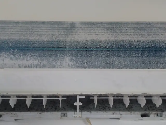 年末前。快適クリーニング。カビ、ホコリ、汚れ一掃！サービスの画像