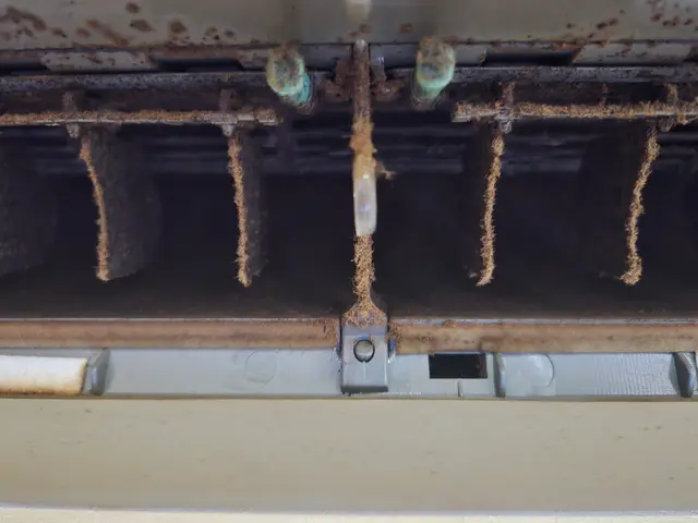 年末前。快適クリーニング。カビ、ホコリ、汚れ一掃！サービスの画像