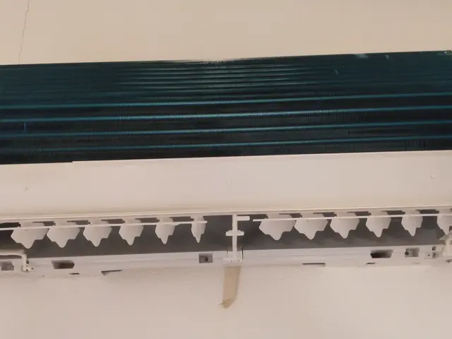 年末前。快適クリーニング。カビ、ホコリ、汚れ一掃！サービスの画像