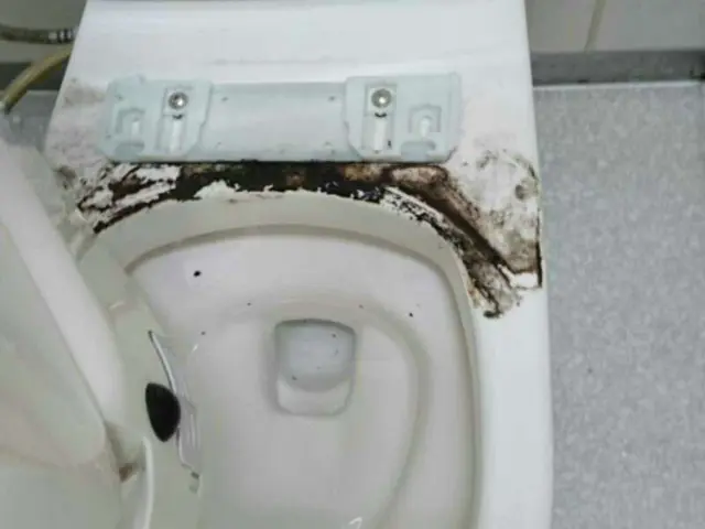 《新生活キャンペーン》損害保険加入★大手企業で実績あり！写真の店長がお伺い★サービスの画像