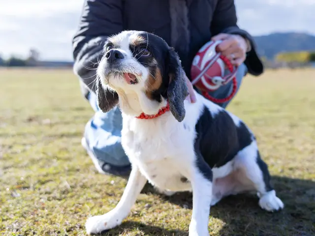 写真作例募集中｜期間限定価格・リピーター様は初回価格