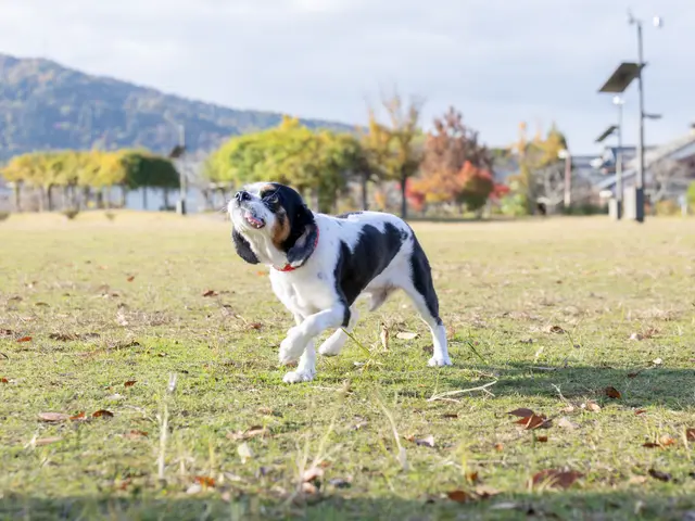 写真作例募集中｜期間限定価格・リピーター様は初回価格