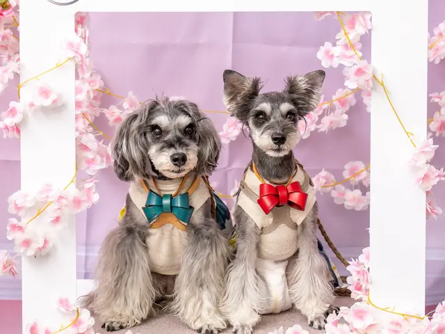 写真作例ご協力は1000円引｜リピーター様は初回価格のまま