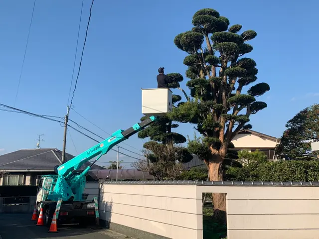 ◆見積り・相談無料◆　お庭や会社の生垣など伸びてしまった木々の剪定いたします。サービスの画像