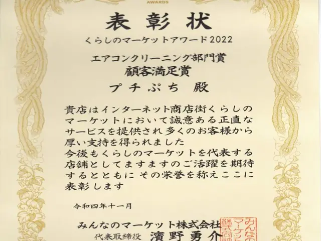 コケで汚れた壁を専用洗剤と高圧洗浄機できれいにしますサービスの画像