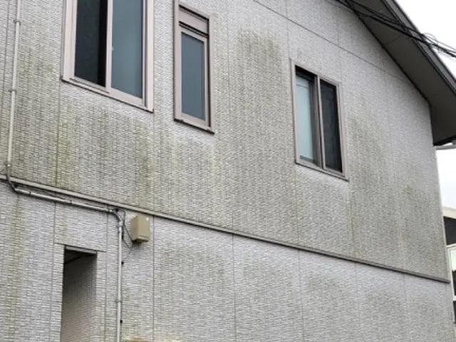 コケで汚れた壁を専用洗剤と高圧洗浄機できれいにしますサービスの画像