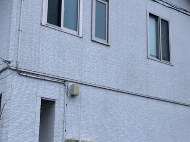 コケで汚れた壁を専用洗剤と高圧洗浄機できれいにしますサービスの画像