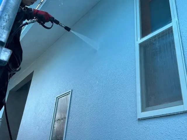 コケで汚れた壁を専用洗剤と高圧洗浄機できれいにしますサービスの画像