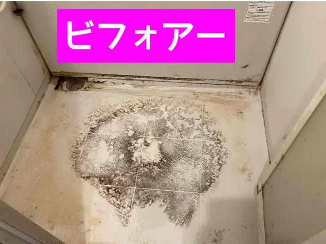 2名でお伺いします。母と開業しているので女性のお客様にもご安心頂いております。サービスの画像