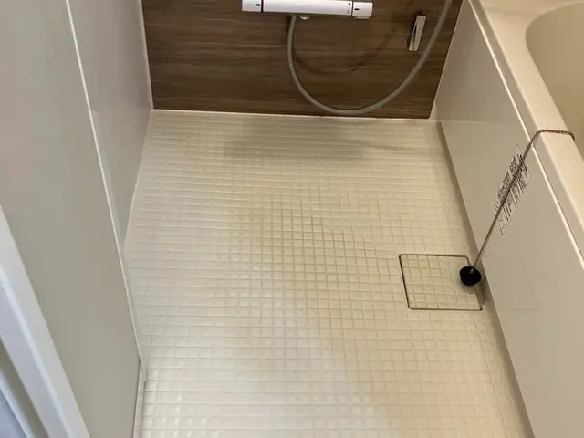 カビも水アカも徹底除去！清潔なお風呂時間を。サービスの画像