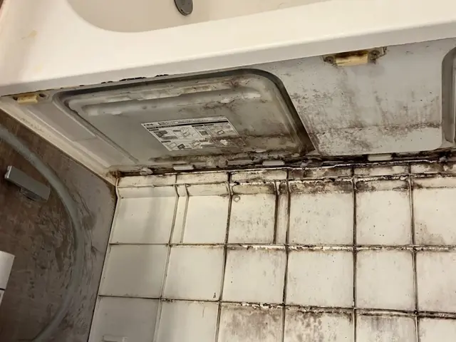 カビも水アカも徹底除去！清潔なお風呂時間を。サービスの画像