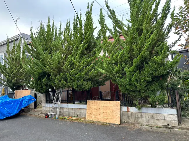 実績多数！庭木の伐採、伐採後のご提案お任せ下さい。お気軽にご相談下さい。サービスの画像