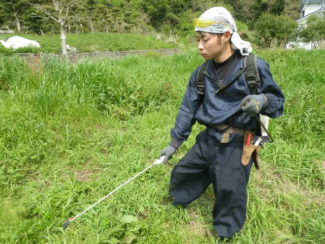 創業50年歴史ある造園業者(駐車場代店負担/女性スタッフ同行可/保険加入済)サービスの画像